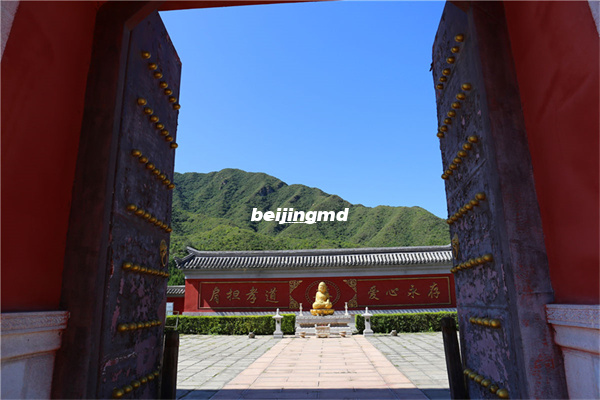 天津骨灰撒海仪式在新区举行,骨灰撒海和骨灰草坪葬最高补贴2420元