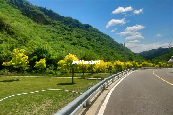 第八届全国民政行业职业技能竞赛殡仪服务员职业竞赛 晋级总决赛的20名选手名单