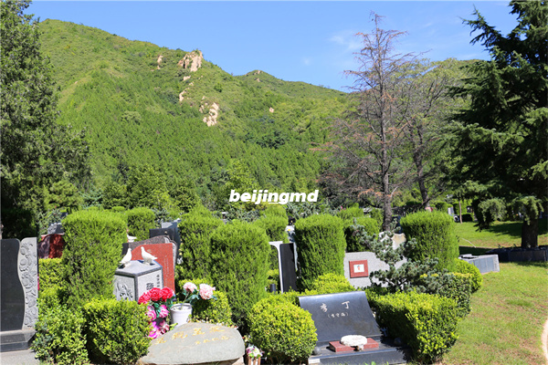 昌平区的凤凰山陵园怎么样？