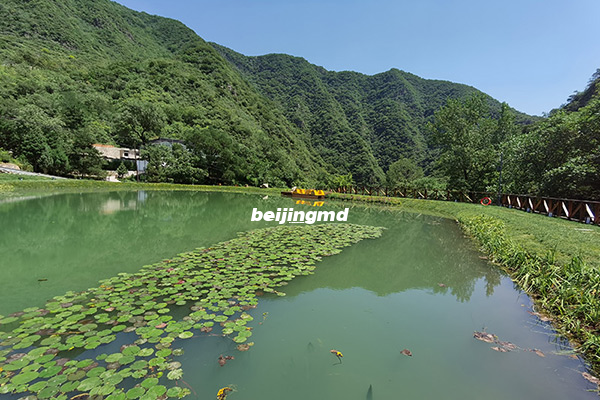 在北京买个墓地的价格大概是多少，北京墓地价格