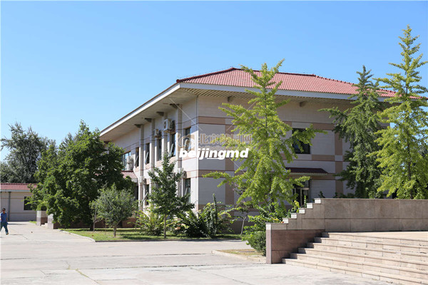 法国推出绿色殡葬新选择,启用首个树葬林地