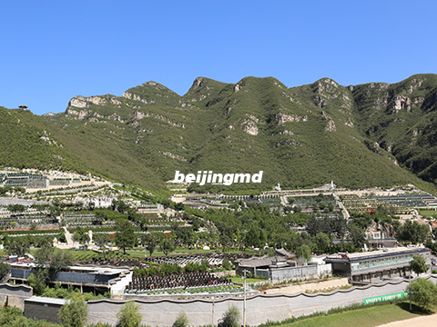 北京平谷区墓地价格一览表2024