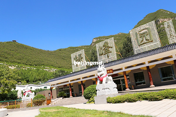 黑龙江省齐齐哈尔市首个殡葬礼仪协会成立