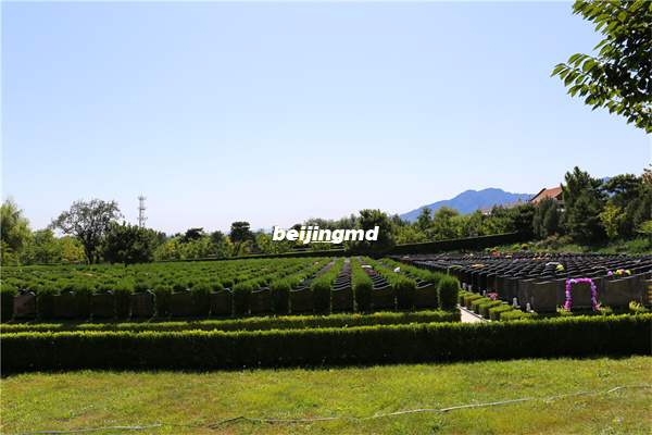北京桃峰陵园2021年清明节预约祭扫须知及防控管理公告