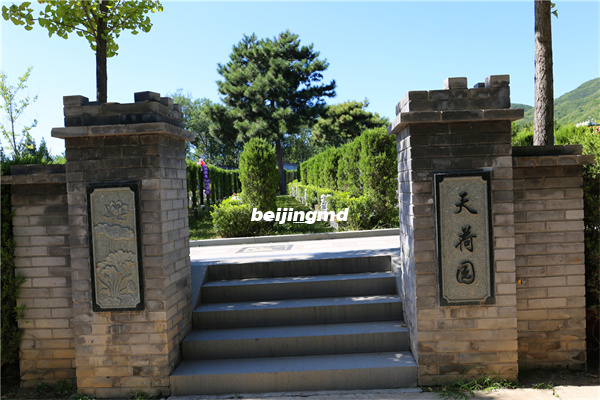 北京十三陵景仰园陵园能树葬嘛？