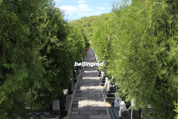 九公山陵园四季皆是风景