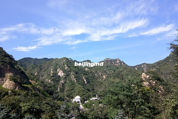 让未来的殡葬改革更加的接地气