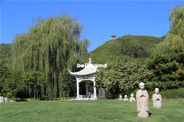 北京市顺义区殡仪馆开展建党九十九周年“不忘初心、牢记使命”主题教育工作会议