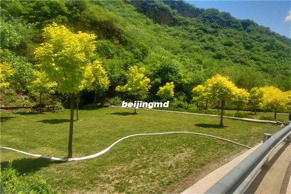 昌平景仰园骨灰林