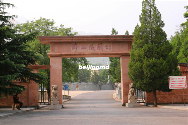 在新农村建设中过程中探索殡葬改革的新思路