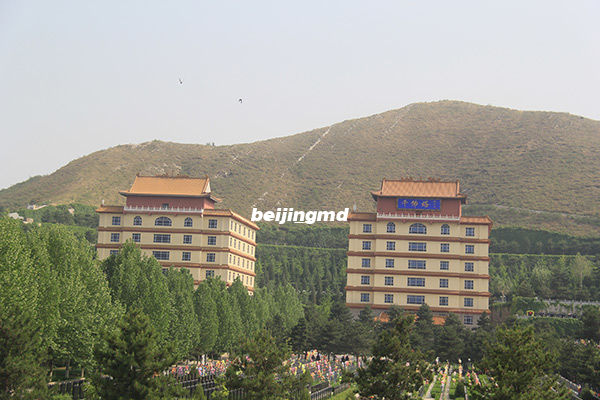 九公山公墓是非法墓地吗？