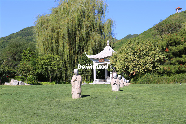 北京九龙山生态陵园：是否提供班车服务？