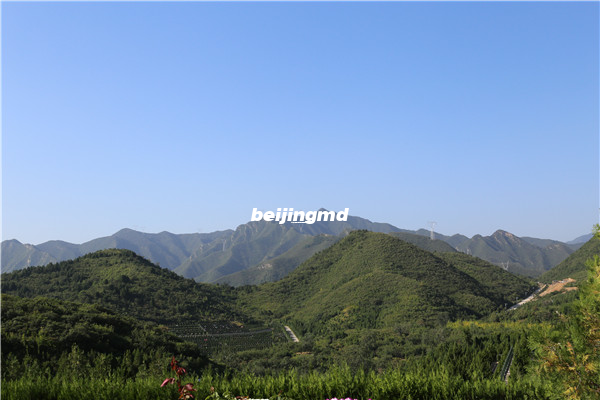 北京市怀柔区九公山长城纪念林树葬陵园