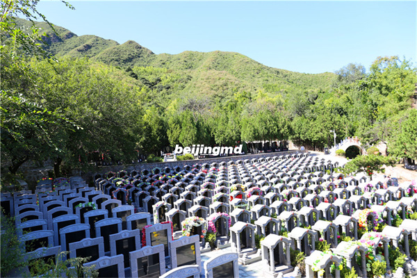 昌平区的墓地选南口镇天寿陵园还是选十三陵镇景仰园