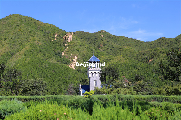 北京潮白陵园培训消防安全