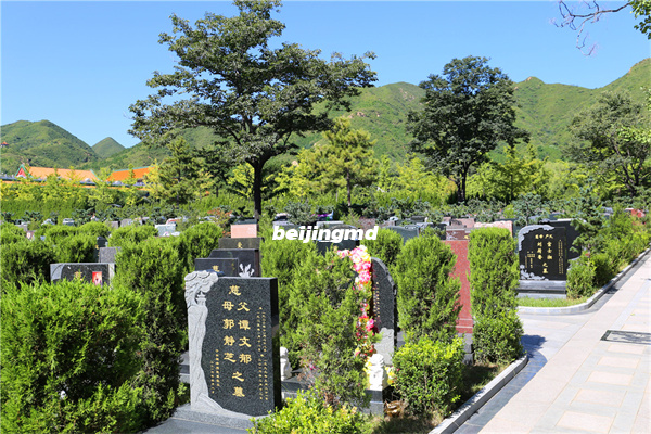 北京全面整治殡葬领域问题