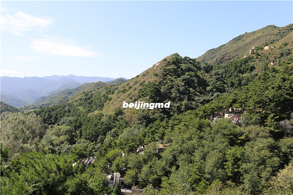 北京通州区部分镇村建红白喜事大厅,丧事新办补助一万元