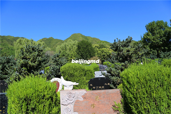 别怕,墓地也可以很美的