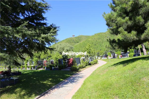 北京海淀金山陵园上山路,只准7座（含）以下载客汽车行驶