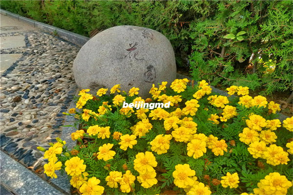 北京墓地价格与安葬方式的选择