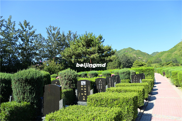 单田芳先生于昨日在中华永久陵园安葬