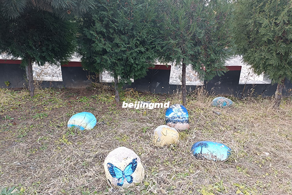 曾经的“林黛玉”今何在？过世12年，如今天寿陵园墓前仍是花团锦簇