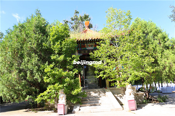 北京惠灵山陵园墓地价格便宜吗？