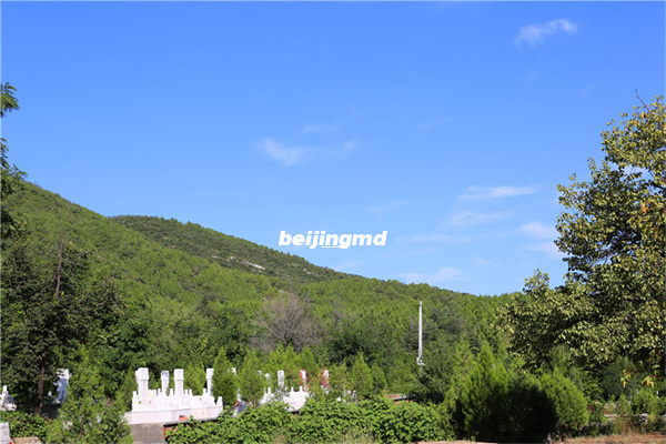 北京墓地中节地生态葬的现在和未来有哪些成果