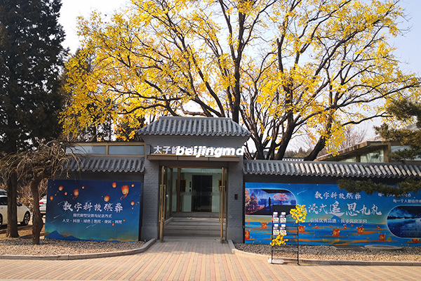 昌平区的凤凰山陵园购墓电话是多少？