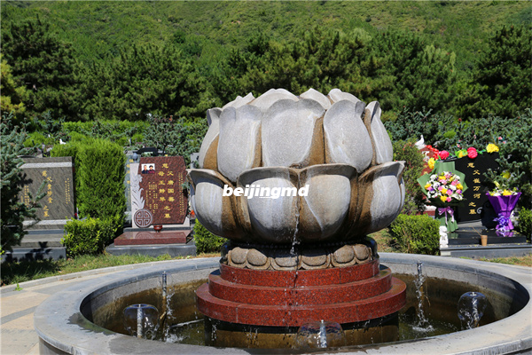 北京市思亲园骨灰林墓地价格对比？