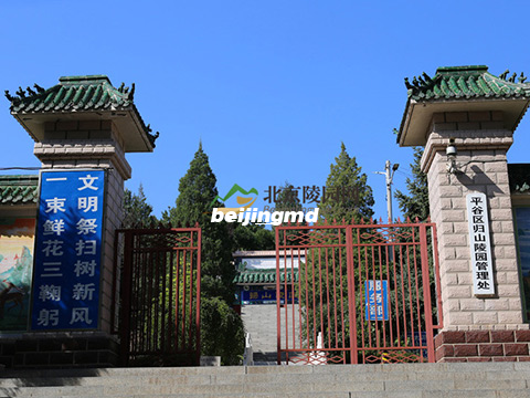 环保殡葬真走向规模产业化,还有很多挑战