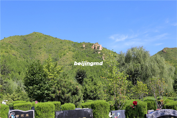 通州区惠灵山陵园属于什么性质的墓地，电话号码是多少？