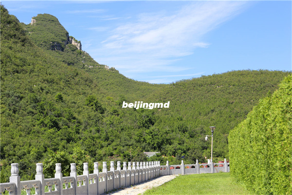 灵山宝塔陵园价格一览