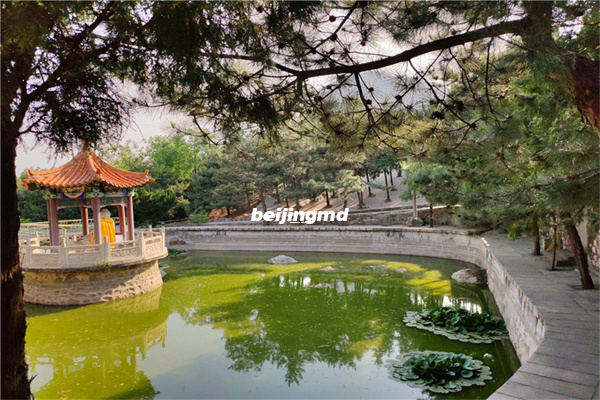 朝阳区墓地位置分布图，朝阳所有墓地一览