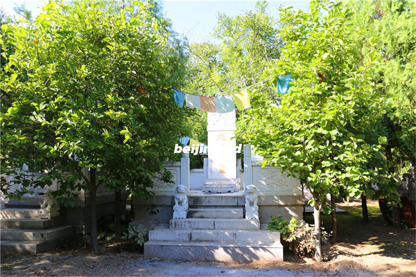 北京俩家树葬的介绍,水泉沟纪念林与九公山长城纪念林