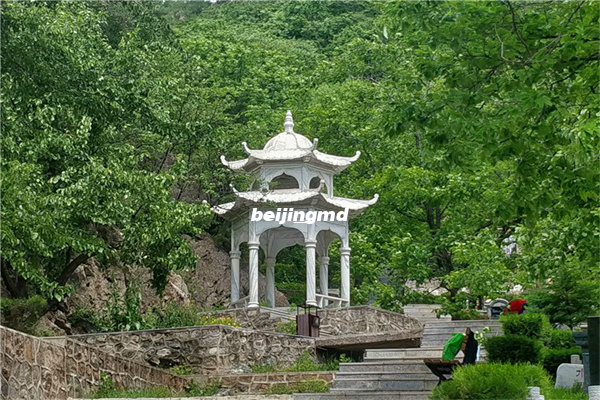 八宝山革命公墓墓地费用是多少？