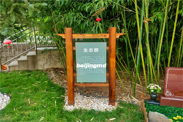 什么是树葬，树葬有什么讲究吗？