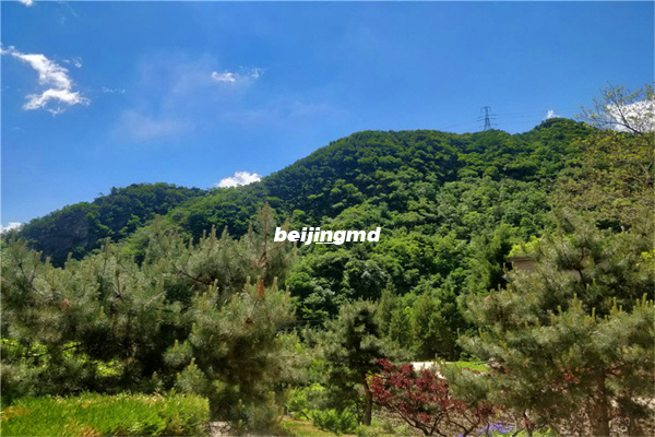 朝阳陵园怎么样？朝阳陵园是背山面水的格局吗？