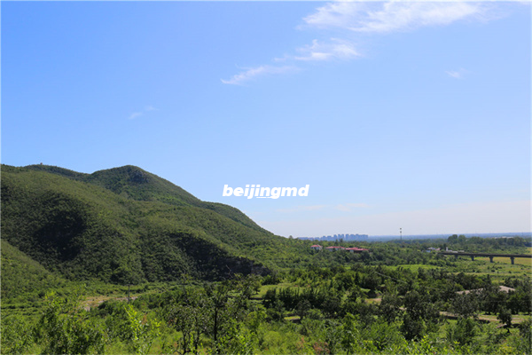 桃峰陵园有多少在售碑型？桃峰陵园的碑型价格