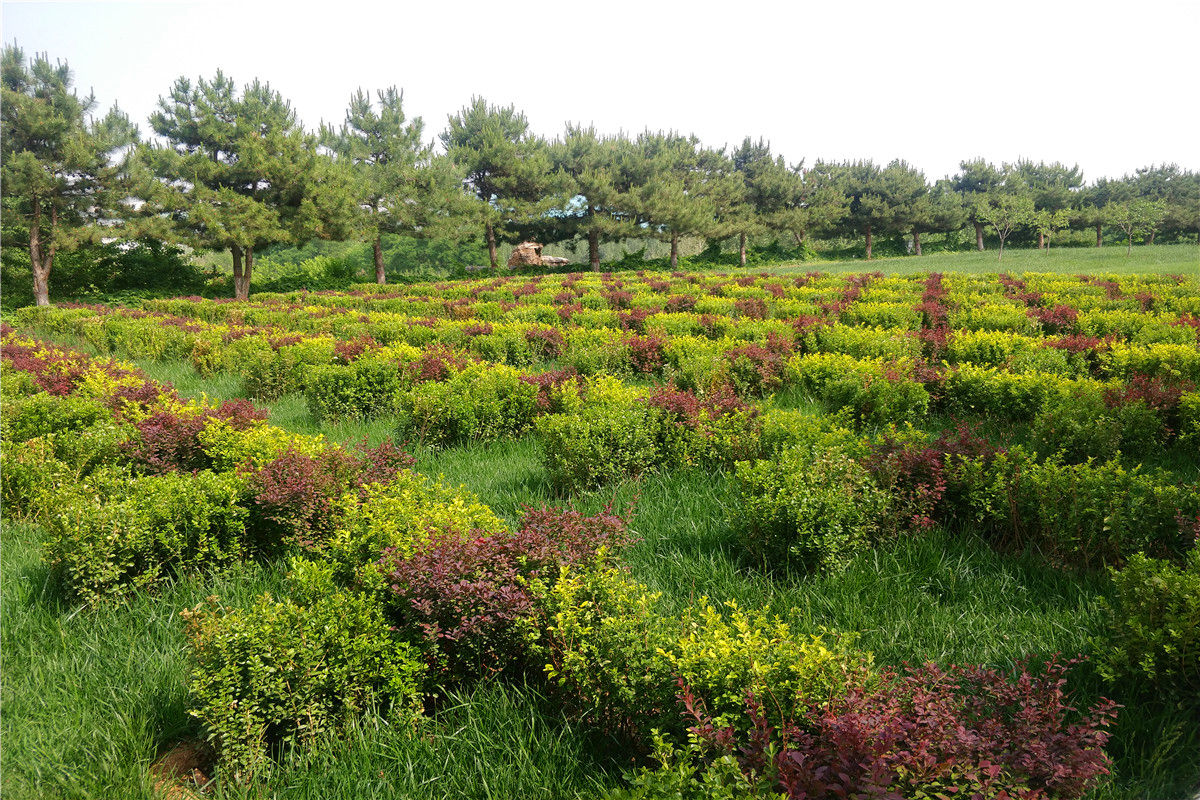 福田公墓地址在哪里-1