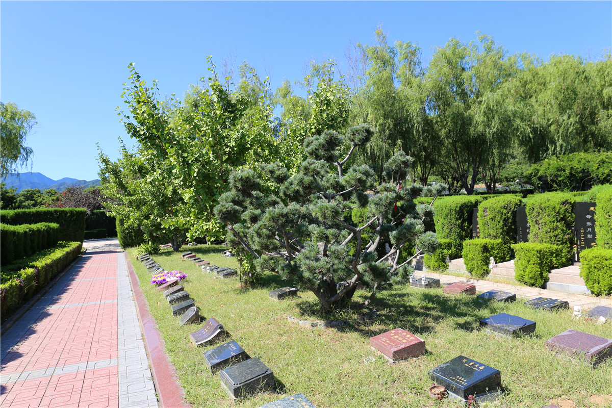 北京天堂公墓墓地产权-1