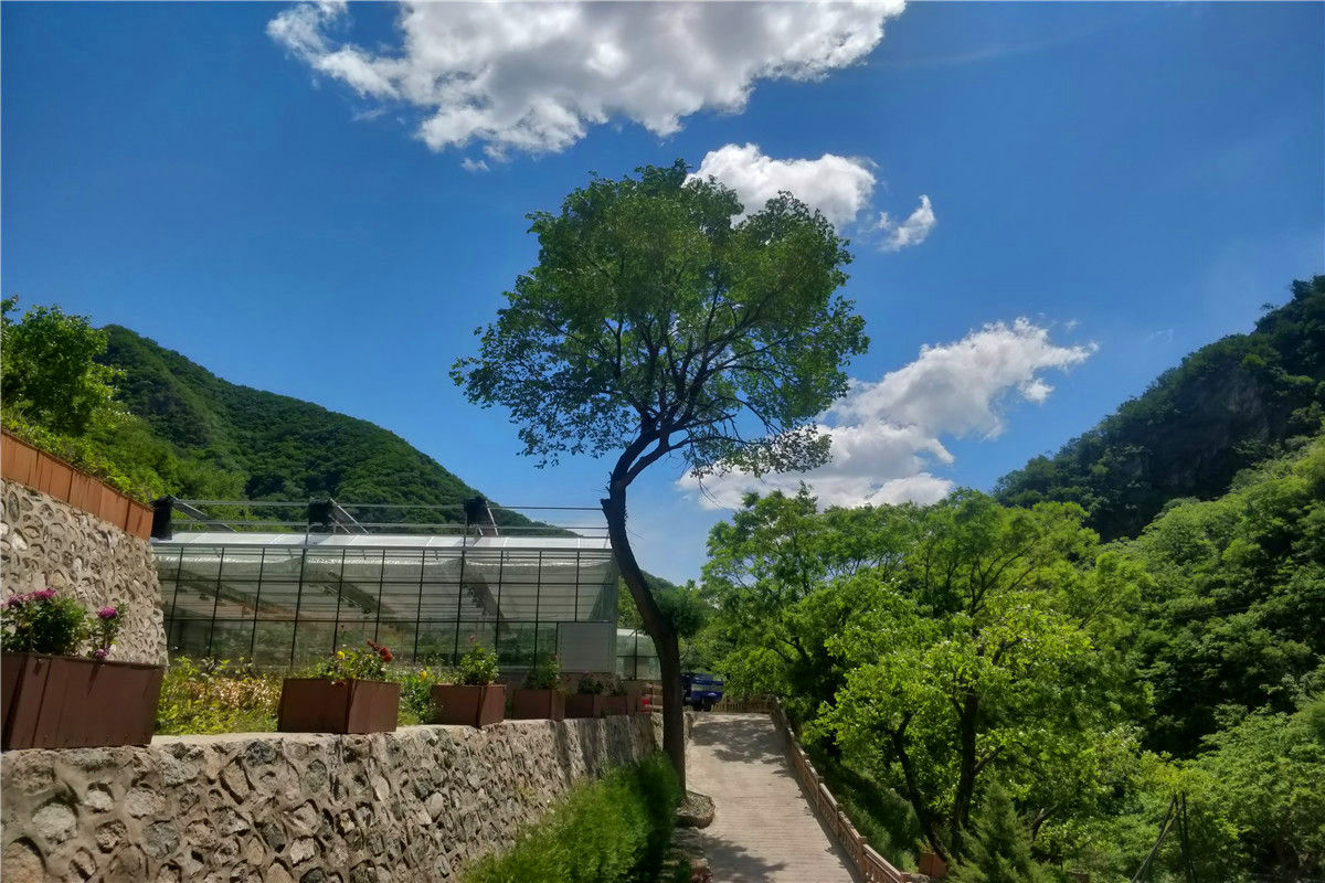 西静园公墓园区价格表