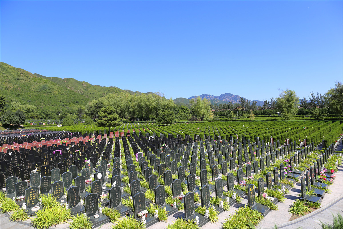 金山陵园墓地价格多少钱-1