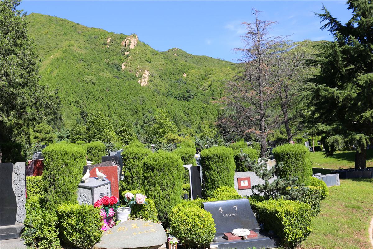 北京炎黄陵园花坛葬价格