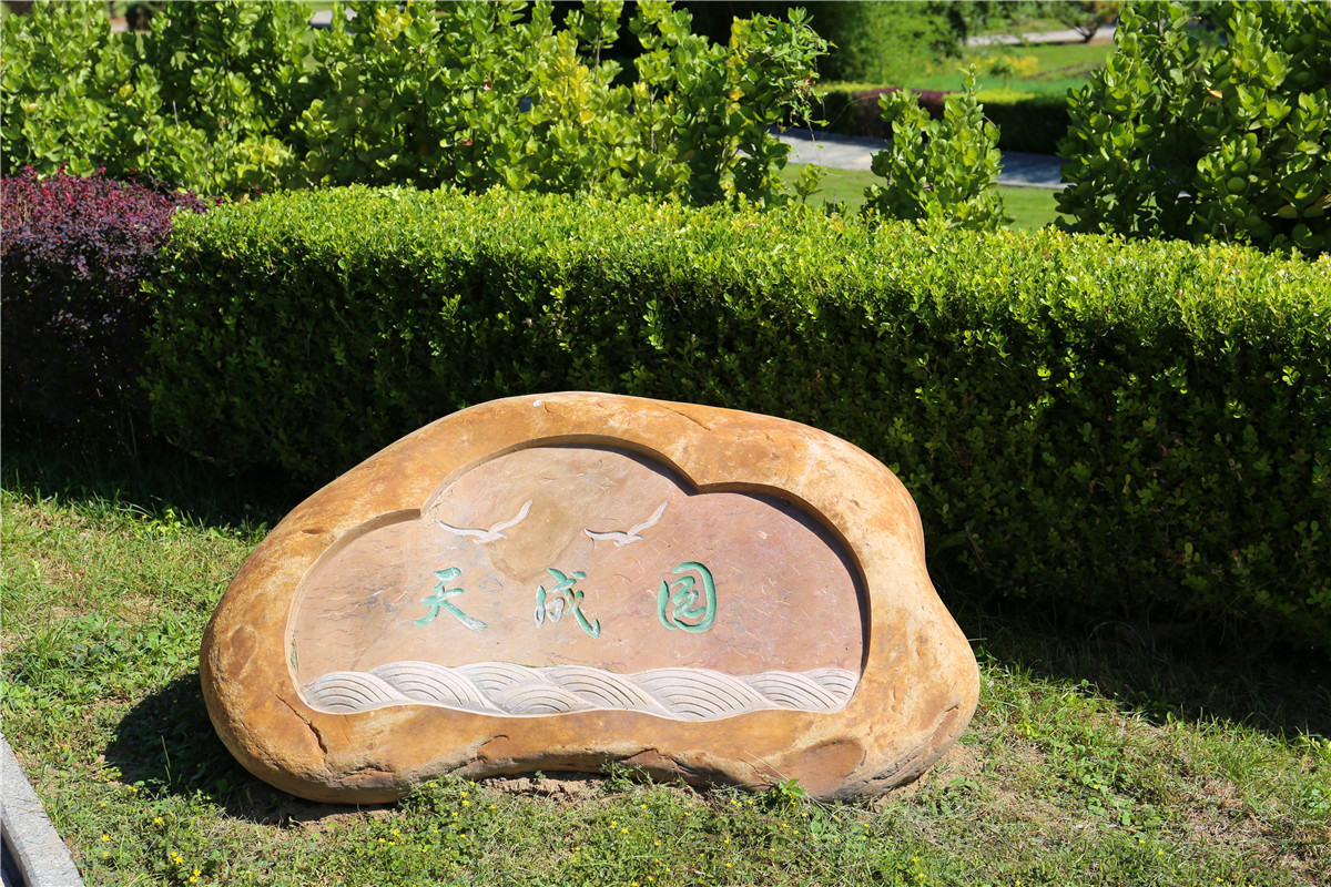 北京景仰园骨灰林预约