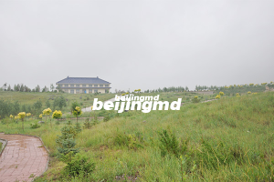 北京周边墓地，卧龙公墓墓地起价