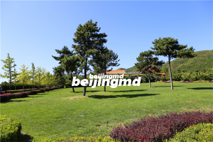 对延庆永宁陵园和旧县九龙山生态陵园等公墓清明祭扫工作进行实地检查