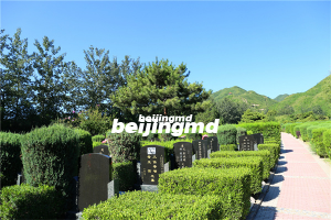 灵山宝塔如意园自选区树葬、紫东园树葬A区销售公告发布