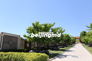 北京各公墓的地理位置与价格差异探析