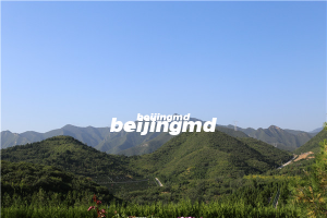 中国殡葬协会开展“弘扬优良传统 传承红色基因”主题活动